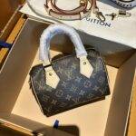 LV Speedy 20 Exclusive replica bag