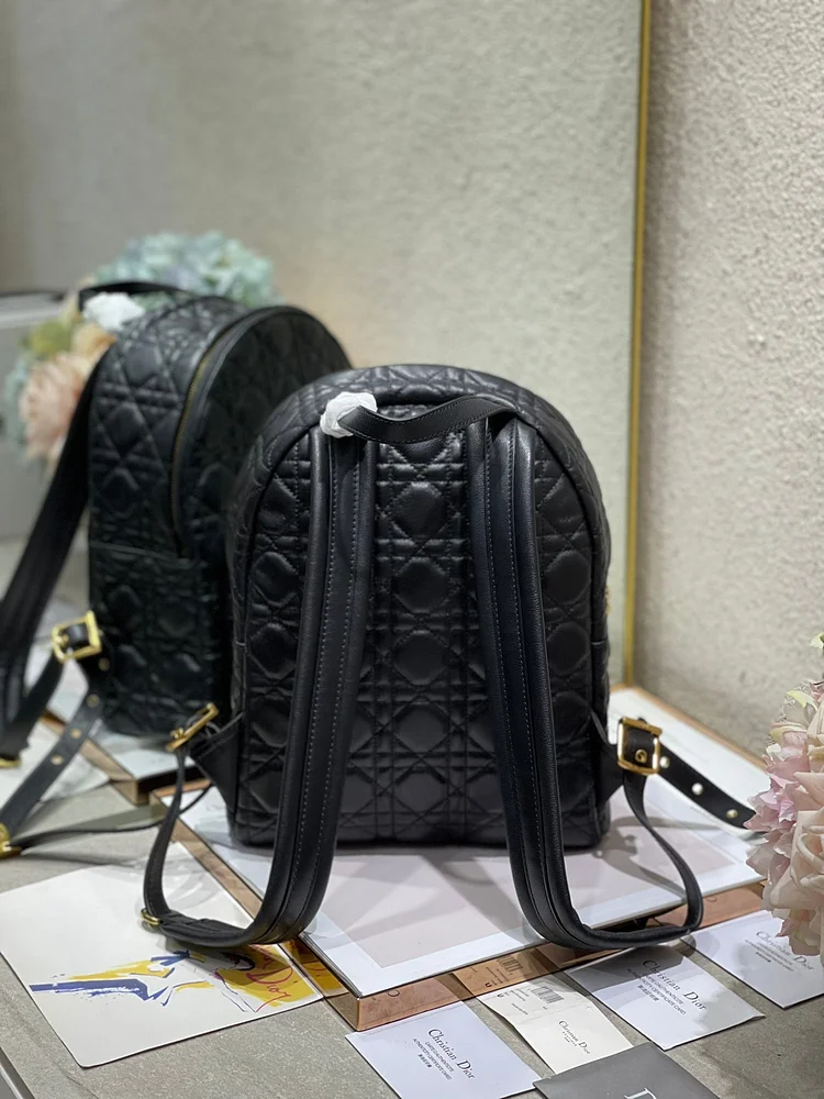 CD Backpack - Image 3