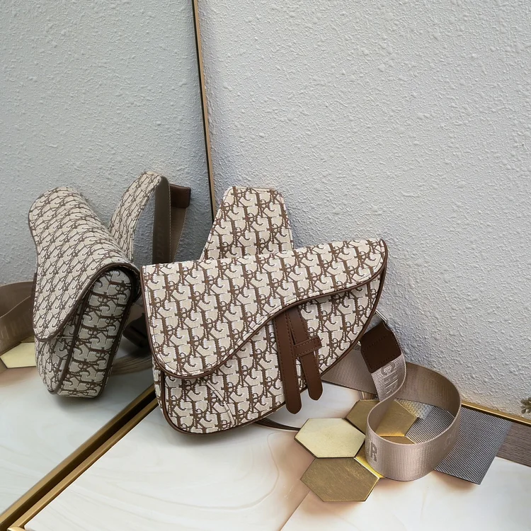 D homme2023 Pre-Fall saddle bag size : 20x28.6x5cm - Image 13