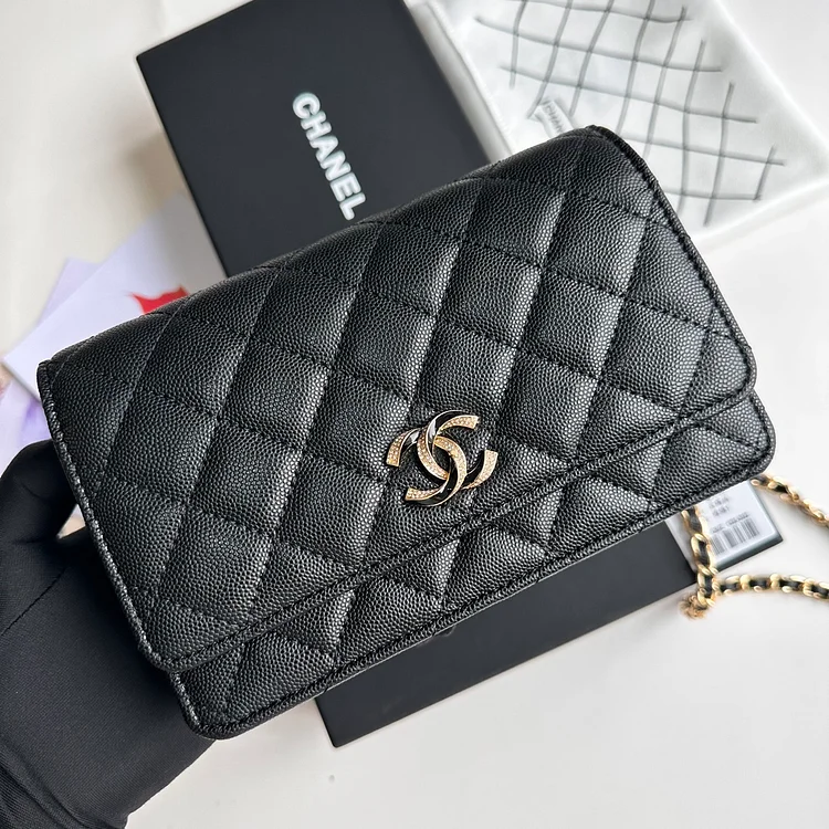 CC new arrival 2024 Woc bag caviar leather size: 19 cm - Image 14