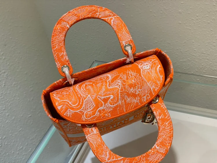CD Medium Lady D Lite Bag - Image 14