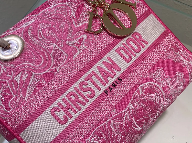 CD Medium Lady D Lite Bag - Image 18