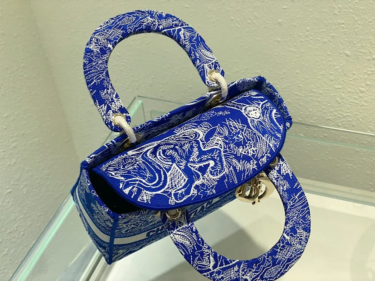 CD Medium Lady D Lite Bag - Image 7