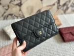 Cc new arrival woc caviar leather bag size: 20cm