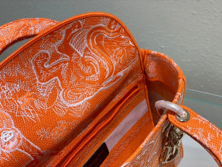 CD Medium Lady D Lite Bag - Image 13