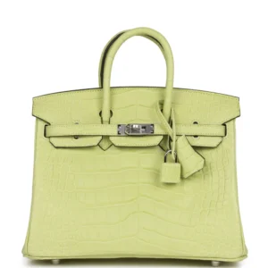 H Birkin 25 Jaune Bourgeon Matte Alligator Palladium Hardware