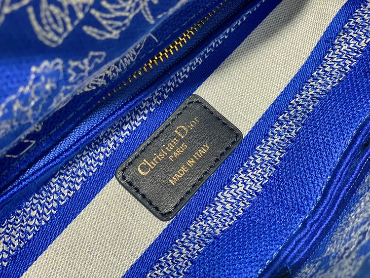 CD Medium Lady D Lite Bag - Image 8
