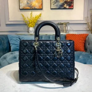CD  Large Lady CD Bag